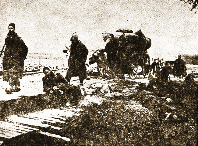 Периодично в бюлетините на БТА от 1901 г. се публикуват информации за чумни огнища