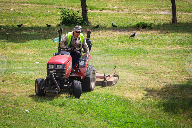 Бургас - тревни площи - косене