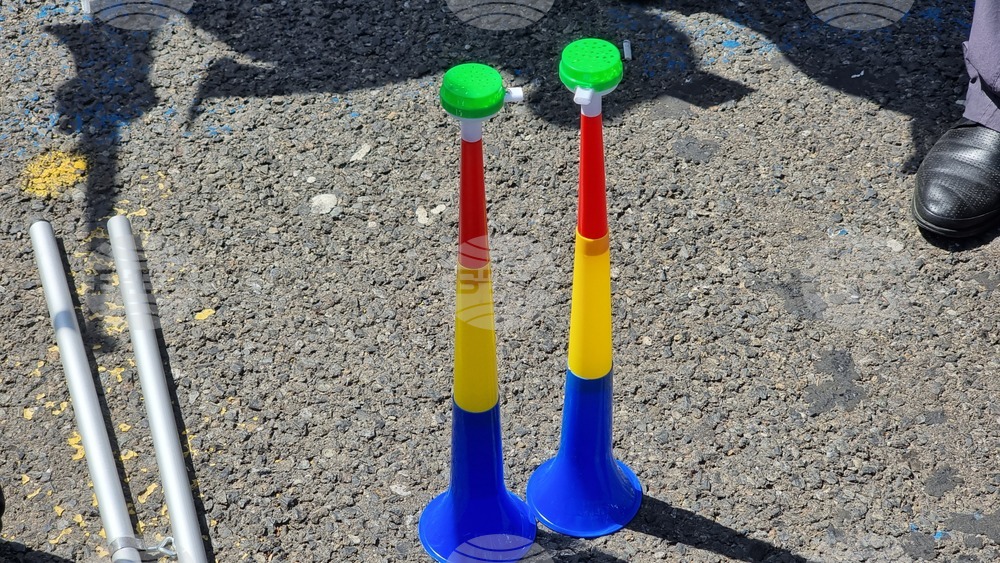 Румъния - здравни служители - протест