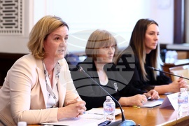 Парламент  - Комисия по въпросите на Европейския съюз - Даниела Митева