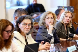 Парламент - Комисия по здравеопазването