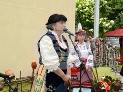 Снимка: Община Видин