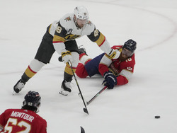 Stanley Cup Golden Knights Panthers