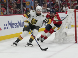 Stanley Cup Golden Knights Panthers