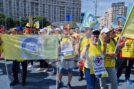 Румъния - учители - протест