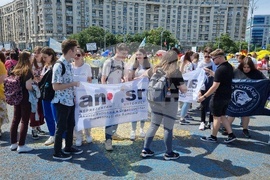 Румъния - учители - протест