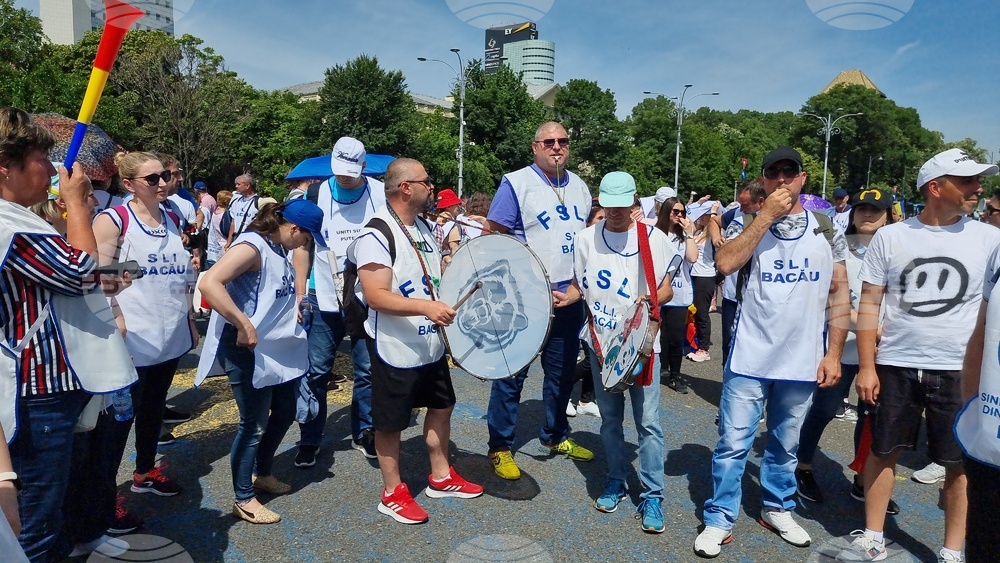 Румъния - учители - протест