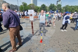 Румъния - учители - протест