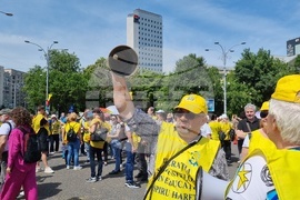 Румъния - учители - протест