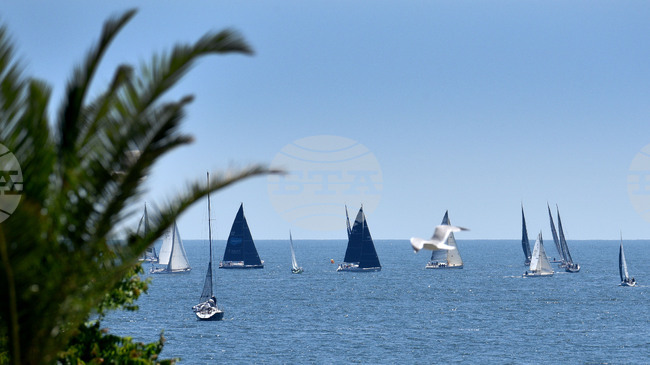 Гръцките власти арестуваха заподозрян за трафик на мигранти, организирал фалшиви круизи с яхти