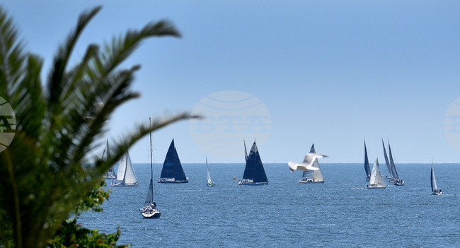 Гръцките власти арестуваха заподозрян за трафик на мигранти, организирал фалшиви круизи с яхти