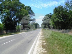 Снимка: АПИ