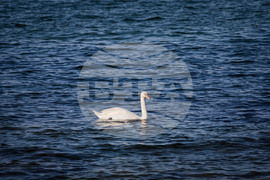 Созопол - плаж Алепу - Шофьорски плаж - изглед