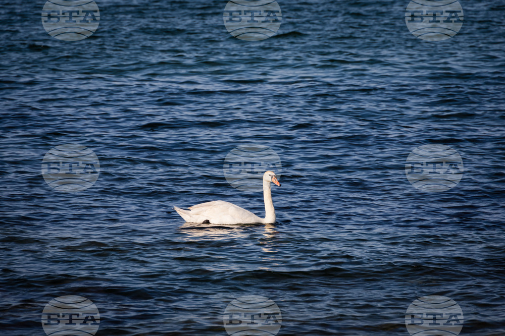 Созопол - плаж Алепу - Шофьорски плаж - изглед