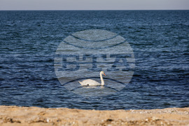 Созопол - плаж Алепу - Шофьорски плаж - изглед