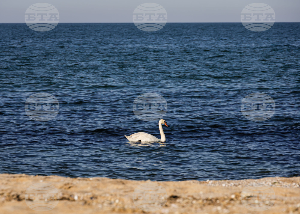 Созопол - плаж Алепу - Шофьорски плаж - изглед
