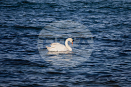 Созопол - плаж Алепу - Шофьорски плаж - изглед