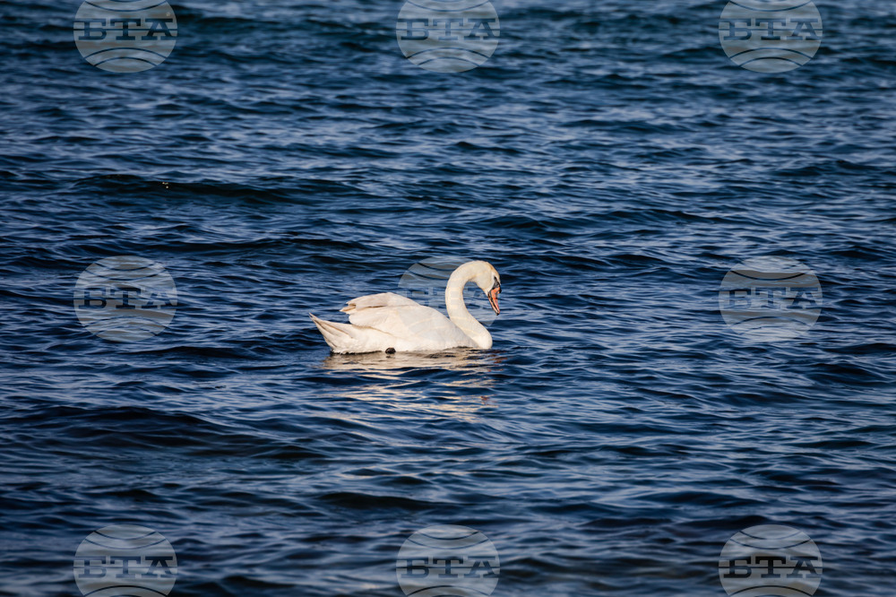 Созопол - плаж Алепу - Шофьорски плаж - изглед