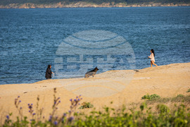 Созопол - плаж Алепу - Шофьорски плаж - изглед