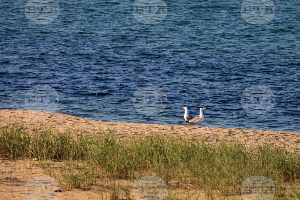 Созопол - плаж Алепу - Шофьорски плаж - изглед