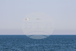 Созопол - плаж Алепу - Шофьорски плаж - изглед