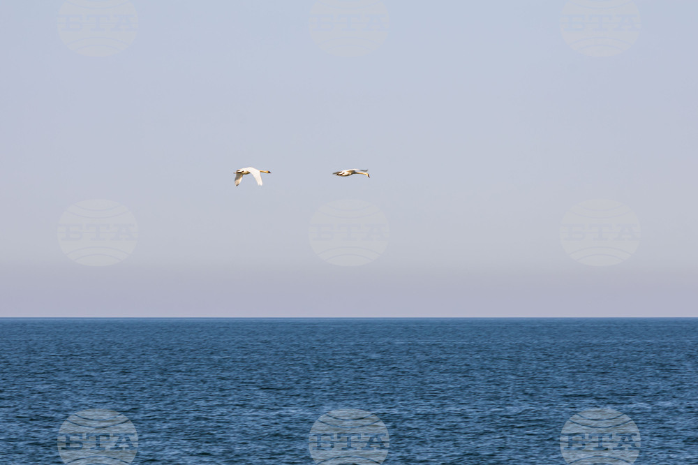 Созопол - плаж Алепу - Шофьорски плаж - изглед