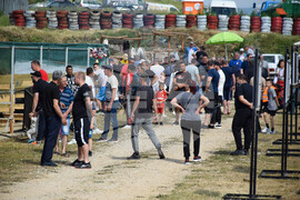 Зелен дол - изложение на животни