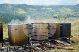 Зелен дол - изложение на животни