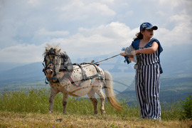 Зелен дол - изложение на животни