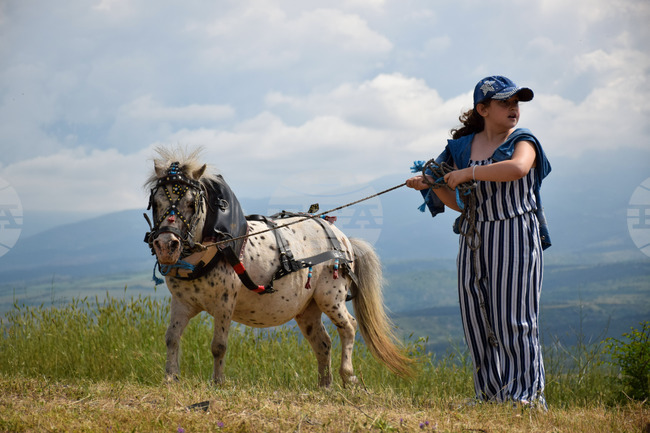 Зелен дол - изложение на животни