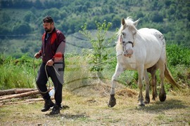 Зелен дол - изложение на животни