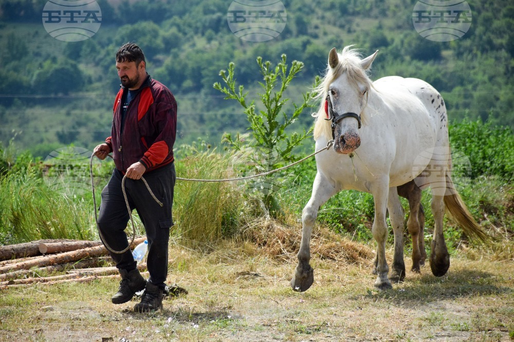 Зелен дол - изложение на животни