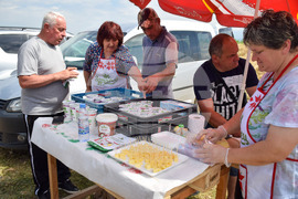 Зелен дол - изложение на животни