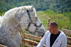 Зелен дол - изложение на животни