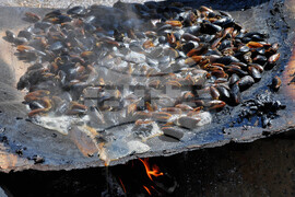 Бургас - остров Света Анастасия