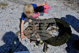 Бургас - остров Света Анастасия