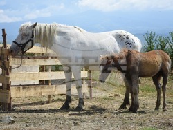 Снимка: Община Благоевград