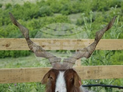 Снимка: Община Благоевград