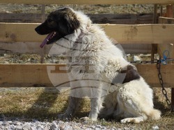 Снимка: Община Благоевград