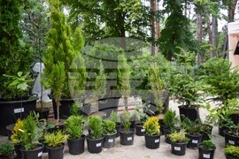 Сандански - земеделски форум - От фермата до твоята трапеза