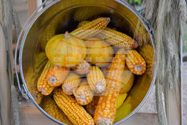 Сандански - земеделски форум - От фермата до твоята трапеза