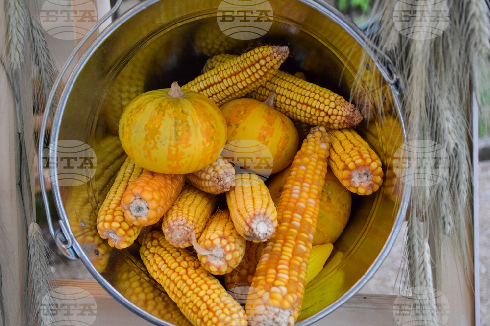 Сандански - земеделски форум - От фермата до твоята трапеза