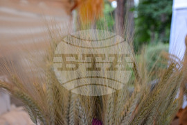 Сандански - земеделски форум - От фермата до твоята трапеза