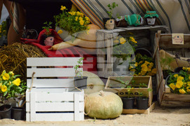 Сандански - земеделски форум - От фермата до твоята трапеза