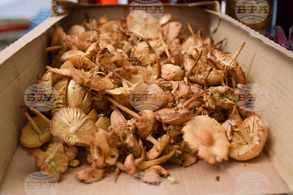 Сандански - земеделски форум - От фермата до твоята трапеза