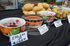 Сандански - земеделски форум - От фермата до твоята трапеза