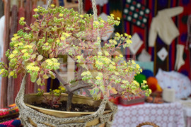 Сандански - земеделски форум - От фермата до твоята трапеза