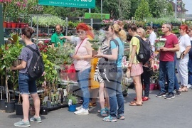 Румъния - изложение - цветя