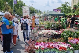 Румъния - изложение - цветя