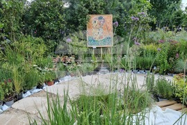 Румъния - изложение - цветя